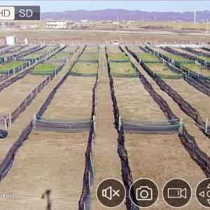  Escargots Et Bave D'escargot -  advertising new products salut,  nous sommes une nouvelle entreprise établie en albanie avec environ deux hectares d'élevage d'escargots biologiques,  nous recherchons de nouveaux acheteurs à la fois pour des escargots vivants purgés et des bavures de qualité.  contacts ...--cordialement