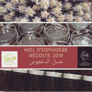  Miel-express-maroc - produits sucrés salut nous sommes à la recherche des clients pour des différents miel pur  miel d'euphorbe,  miel jujubier  d'origine de haut atlas occidental du maroc  miel d'euphorbe,  miel jujubier   