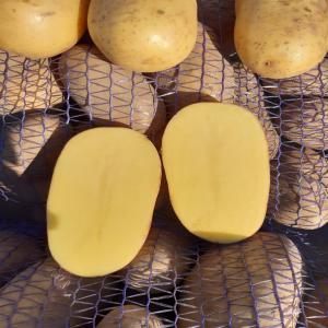  Pomme De Terre - fruits et légumes nous avons une grande quantite de pomme de terre spunta.--qualite super ,  respecter parametre de haccp et iso.--quantite - a partir de 20 tonne plus jusq'un 5000 tonne.--prix- sur commandes.--conditionnement- sac 25kg ,  sac de 50kg et en vrac.-- restriction -monde entier.--si vous etes interesser de