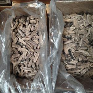  Holothuries Import/export - autres holothuries import/export groupe entreprise spécialisé dans la vente de concombre de mer frais,  séchés,  et en poudre recherche un courtier ou intermédiaire pour partenariat gagnant --veuillez nous écrire au plus vite nous somme aussi disponible sur facebook 