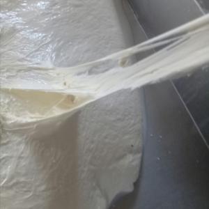  Mozzarella First Quality - milk and milk products good price--mozzarella first quality--large delivery capacity--with all sanitary control--air transport--welcome