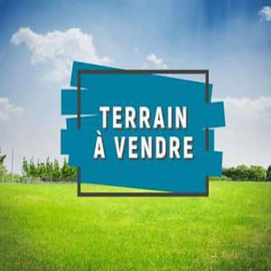  Vente De Terres - mine terrain concession nous mettons en vente 22hectares de terres exploitables à diamniadio titre foncier individuel.--prix -15000f/m²--idéal pour tous types de projets agricoles,  immobiliers et autres.