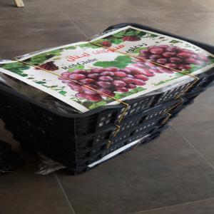  Raisin Frais En Vente Cote D'ivoire - fruits et légumes nous disposons dune grande quantité de raisin frais conditionnement en caisse plastique de 5 kg fraichement importé et de très bonne qualité. nous recherchons des clients sérieux pour travailler en partenariat. nos prix défient toute concurrence. priè