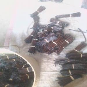  Vanilla Bourbon Madagascar - épices aromates forts de 10 années d'expérience,  nous sommes une association de producteurs de vanille vanilla bourbon madagascar,  et recherchons des clients a l'international afin de lier des partenariats sur du long terme. nos prix sont abordables,  notre vanille prete a l'exportation (oui,  nous somm