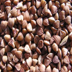  Buckwheat Groats - cereals buckwheat groats 1st grade,  in bags of 50 kg. place of growth-russia,  altai territory. delivery is calculated individually. possible delivery options- exw,  fca,  fas,  fob,  cif,  cfr.