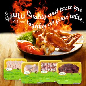  Origin Brazil Turkiye Chile - meat and eggs f.chicken whole paws feet mjw breast grade a gulf countries china hong kong middle east europe to asia - origin brazil chile turkiye