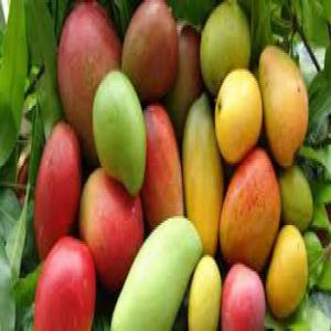  Agro Alimentaire Et Pierre Precieuse - autres nous sommes structure agro-business  exercons dans le negoce en collaboration avec des cooperatives agricole. nous faisons de l interm&eacute;diation et apporteur d'affaire.--nous d&eacute;sirions collaborer avec des investisseurs etranger qui souhaiteraient qu'on leur fournissent les produits ou le