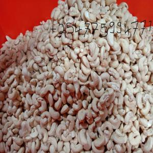  Noix De Cajou - fruits secs et graines grillées type de culture- commun--type de traitement- brut et transformé--certification- fia / sgs--origine- tanzanie--année de récolte- 2018-2019--emballage- sacs plastiques flexibles / sous vide de 22, 68 kg (11 kg)--(25 lb) ou dans une boîte en fer blanc selon les exigences de l'