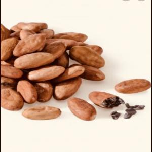  Vente Du Bon Cacao Africain (cameroun) - café cacao thé bonjour, --je suis propriétaire de champs de cacao depuis plus de 10 ans au cameroun. je cherche une personne intéressée pour l’achat de ce cacao bien soigné dont j’ai bénéficié du savoir faire de mes grands parents !--cordialement 