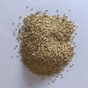  Nous Fournissons Des Graines De Sésame De Qualit - seed plant seed graines de sésame blanches--teneur en huile 48-50%--mélange max 1, 3%--pureté min 99%--matières étrangères max 1%--autres graines de couleur max 2%----- packs de 50 kg--- 20 tonnes