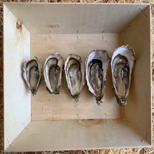  Exportation D'huîtres Françaises - coquillage crustacé vous recherchez des hu&icirc;tres fran&ccedil;aises fines/sp&eacute;ciales et de diff&eacute;rentes tailles ? on sera r&eacute;pondre &agrave; vos besoins. --nos hu&icirc;tres fines et sp&eacute;ciales de tailles 0 &agrave; 4 sont &eacute;lev&eacute;s en bretagne et dans le sud-ouest de la france. s