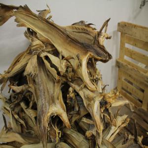 Dry Stock Fish - fish we are one of the best supplier of stockfish in asia . we can export world wide at a very good price.---- ----we packaged into 45kg or 50kg bales and cod heads without collarbone are packed into bags of 30kg.----stockfish types that we offer are- tusk or brosme----- cod or torsk----- haddock or hyse