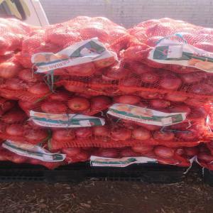  Fruits Et Légumes D'algérie - fruits et légumes je suis franco algérien du côté de lyon en france ou j'ai une entreprise d'import export de fruits et légumes d'algérie. et de biskra en algérie ou je suis agriculteur. je cultive des fruits,  des légumes,  des dattes,  des olives de table,  des olives pou