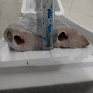  Sabre Block Et Hgt Congelé Maroc - poissons sabre en block et hgt congelé a terre .--tous les calibres.--pour l'export.--paiement - 30% deposit et 70% cad.--
