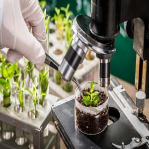  Arômes Végétales, Huiles Essentielles Et Végétal - matiere vegetale nous sommes entreprise marocaine de jeunes ingénieurs,  spécialisés dans la valorisation des ressources naturelles. nous produisons selon un rapport qualité/prix satisfaisant,  des plantes séchées,  des huiles végétales et essentielles,  des hydrol