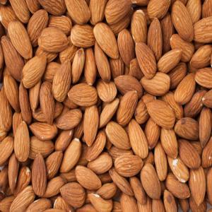  Les Graine De Amandes Douche - fruits secs et graines grillées les graine d amandes douce ce combien les sacs j ai de sa pour commencer mon petit entreprise de production 