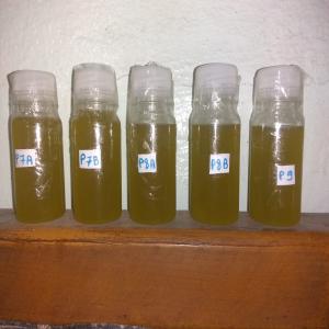  Huile D'olive Extra Vierge - huiles nous recherchons des clients à travers le monde,  pour une huile d'olive extra vierge extraite à froid,  conforme aux exigences les plus strictes des marchés européen et américain.