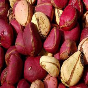 VENTE DE NOIX DE COLA  - fruits et légumes bonjour, --nous proposons des noix de cola brutes  au départ de la côte d'ivoire.--nous garantissons sérieux et professionnalisme.--prix fob - 2$/kg--contactez nous 