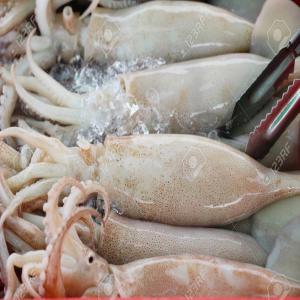  Fournisseur De Poisson Et De Fruits Mer. - poissons bonjour,  nous sommes une soci&egrave;t&egrave; sp&egrave;cialis&egrave;e dans le  domaine  de l'exportation du poisson et des fruits de mer de tr&egrave;s bonne quallit&egrave; tel que - les carpes,  crevettes,  calmar. tout frais,  comme surgel&egrave;. --vous avez une large choix.--contactez nous. --