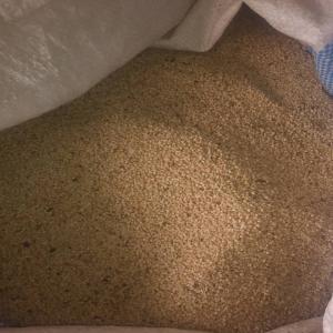  Sésame - fruits secs et graines grillées s&eacute;same s42 disponible au burkina. --poids total - plus de 5000 tonnes--prix march&eacute; local - 640f le kilo--