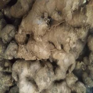 Cherche Client Bissap,gingembre,pain De Singe Et - fruits et légumes je cherche des clients sérieux pour l'achat de mes produits de très bonne qualité  et à  un très bon prix.bissap vimto 2.0euro gingembre 1.20 euros.bissape blaˋ et bouye 1.20 euros et sésame bigarré soufflé 