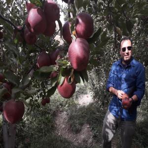  Coopérative Pomme Alhzouz Marrakech - fruits et légumes producteurs de différentes variétés de pomme  a la région de marrakech. nous cherchons des clients sérieux.  nous avons tous les autorisations nécessaires a l'exportation.  contactez nous merci