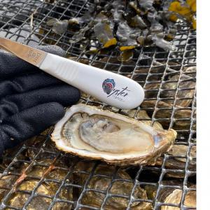  Exportations D huitres Françaises - coquillage crustacé ne serait-il pas merveilleux de commencer l ann&eacute;e 2020 par une d&eacute;gustation d huitres fran&ccedil;aises ?--sera r&eacute;pondre parfaitement &agrave; cette demande - huitres de qualit&eacute; &eacute;lev&eacute;es en bretagne et dans le sud-ouest de la france,  fines et sp&eacute;ciales, 