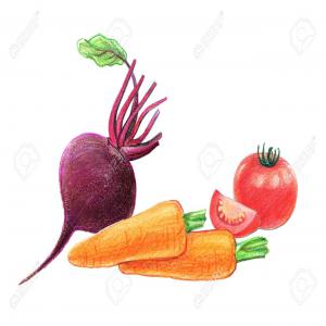  Vends Carotte Et Betterave En Gros - fruits et légumes grossiste dans le sud de l'espagne vend carottes et betterave en gros,  toutes vari&eacute;t&eacute;s/calibre disponibles(bio &eacute;galement). premi&egrave;res  livraisons possibles sur toute la france d&egrave;s le mois de mars. en bigbag,  cagette ou en sachet,  de 1 palette au camion complet. serv