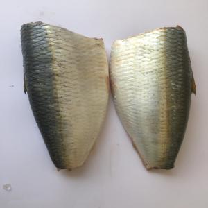  Fournisseur De Poisson Sardinelle Ronde - poissons bonjour,  je suis un repr&eacute;sentant commercial bas&eacute; &agrave; nouadhibou,  je cherche la sardinelle ronde pour un client en europe. quantit&eacute; 3.000t/mois prix fob (tetes et queues coup&eacute;s). un fournisseur sp&eacute;cifiquement mauritanien et s&eacute;rieux.