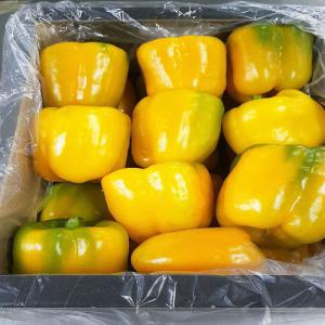  Offer Pepper Vente Du Poivron - fruits et légumes we can offer to you pepper/californie origine morocco .--size - p;m;g;gg . packing in wood or carton for all distinations .--waiting your comment.--nous pouvons vous offrir du poivre/californie origine maroc.--taille- p;m;g;gg. emballage en bois ou carton pour toutes les distillations.--en attendant