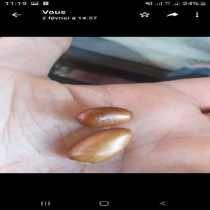  Graines De Bourrache Nigelle - fruits secs et graines grillées graines bourrache nigelle --graines bourrache nigelle ( semence de graine nigelle type drt sanatal ) l'achat se fait par pay&eacute; comptant sans ch&eacute;que main &agrave; main &agrave; l int&eacute;rieur du pays d'origine ( alg&eacute;rie) --conditionnement - livraison main a main int&eacute;rie