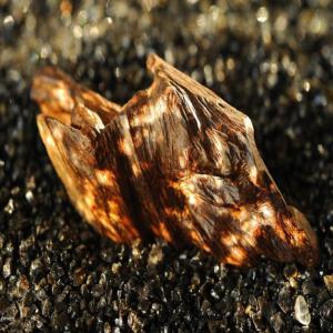  Oud Kmari - bois charbon fibre bonjour,  nous mettons en vente oud (bois d'agar,  bois d'alo&egrave;s,  bois d'aigle,  calambac). produit de luxe haute qualit&eacute;. quantit&eacute;s disponibles &agrave; partir de 500 gr. 