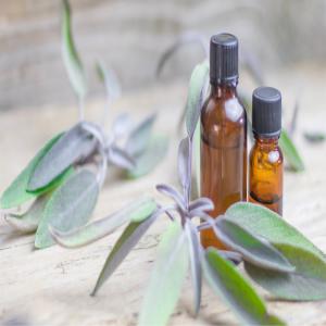  Huile Essentielle De Lentisque Et En Gros - huiles lentisque pistachier--nous vendons tous types d'huiles essentielles et v&eacute;g&eacute;tales du huile essentielle de lentisque ,  avec la certification . et aussi nous exportons la lentisque pistachier--l huile essentielle de lentisque a d excellentes propri&eacute;t&eacute;s m&eacute;dicinales. c'