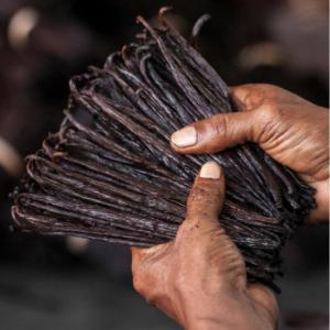  Fournisseur De Gousses De Vanille - épices aromates société française basée sur paris importe pour le compte de clients de l'hexagone et a l’international des gousses de vanilles toute qualité disponible de la cut a la gourmet issue de production de madagascar ou des comores ,  n'hésitez pas a prendre contact 