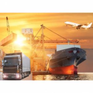  Transit Consignation Et Transport - transport transit logistique une  commissionnaire agrée en douane -- activité- prestations de service- transit- magasinage- transport & logistique- représentation commerce général --pour toute cotation pour la sortie de vso marchandises veillez nous contacte --reduction sur le traitement des d