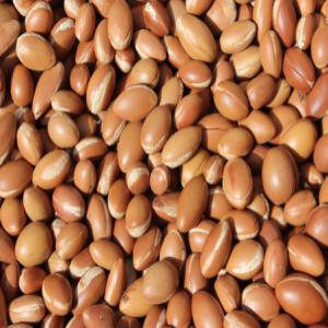  Huiles Bio Emballées Ou En Vrac) - huiles notre activité principale repose sur la production des huiles bio,  telles que-huile d'argan,  huile de sésame,  huile de pépins de figue de barbarie,  huile de ricin,  huile de nigelle...tous nos produits sont certifiés. nous opérons à l'international et nous vo