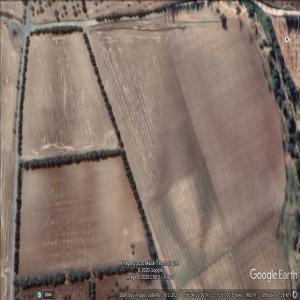  Cherche Partenaire Pour Creation D'un Vignoble - fruits et légumes bonjour a vous , propriétaire d'une exploitation agricole ,  nous disposons de 6ha de terres vide ( sol caillouteux idéal pour un vignoble  ) la terre se situe a 1100 mètres d'altitude ,  nous disposons de toutes les commodités nécessaires pour la culture ( maté