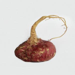  Maca Bio, Bienfaits Fertility, Anti Strees, - fruits secs et graines grillées nutriments- 100 g de racine séchée contiennent également environ 250 mg de calcium,  2 g de potassium et 15 mg de fer,  ainsi qu'une grande abondance d'acides gras bénéfiques (tels que l'acide linolénique,  l'acide palmitique et les acides oléiques). la 
