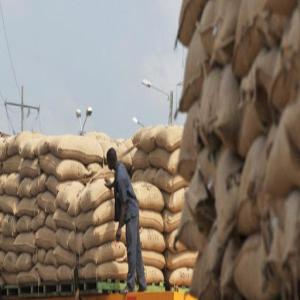 fournisseur de noix cajou du bénin - fruits secs et graines grillées fournisseurs en grande quantité de noix de cajou non décortiqué cherche clients noix de cajou disponible aux magasin. nous recherchons des acheteurs serieux inde,  viet nam,  pour un partenariat .merci de nous joindre--préférence de contact par e-mail 