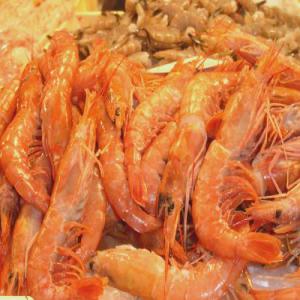  Crevettes Blanches Tunisie - poissons nous cherchons des clients pour notre marchandise (crevettes blanches calamars ...... poissons bleu ....rouget) avec des prix etudiés 