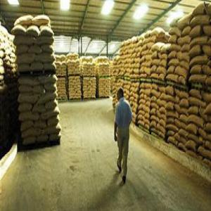  Cashew Africa Supplier - roasted seeds and nuts raw cashew supplier in benin (africa)--african company based in benin supplier of raw cashew nuts from africa.--we are in season and we have stock of very good quality raw cashews.--on offer- raw cashew nuts from benin (africa) - kor- 49-48-47 - grading- 180-200 - humidity level- 10% - packaging- ju