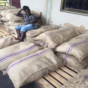  Recherche Acheteurs Sac De Jute - conditionnement nous avons un stock limit&eacute; de sac de jute &agrave; cotonou. veuillez nous contacter si vous etes int&eacute;ress&eacute;. merci