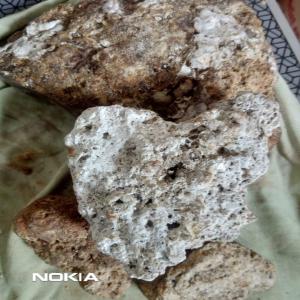  Ambre Gris - pierre roche vends plus de 10kg d’ambre gris trouvés sur les côtes atlantiques du maroc ,  plusieurs rognons disponible de différentes couleurs (noir, gris, jaune et blanc)