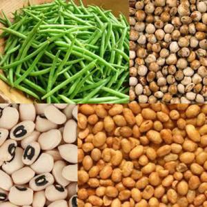  Céréales De Qualités - cereals bonjour chers partenaire de tout les pays. nous somme une association qui existe au bénin et nous somme spécialise dans la production et la commercialisation du céréale. notre souci consiste est d'avoir des partenaires d'ailleurs pour  la commercialisée.-- chers pa