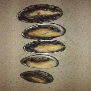  Seafood - crustacean shell special offer for wholesales and seafood distributors --fresh,  dried and frozen product available--minimum quantity 500 kg.
