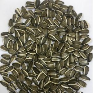  Sunflower Seeds Crop 2020 - roasted seeds and nuts only serious buyers--origine- ukraine--type- reina k (dakota),  jaguar,  lakomka--size mm.- 7+/8+/9+--the goods are fit for human consumption--organoleptical characteristics--colour- greenish-white kernel,  striped peel.--smell- typical,  fresh,  not rancid,  without off-odors--taste- typical,  not rancid, 