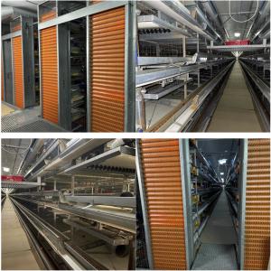  Poulallier Avicole Occasion, Cage Poule Pondeuse - matériels machines bonjour --nous proposons à l'export pour le maroc,  algerie etc ...,  des pondoirs d'aviculture d'occasion en parfaite état de fonctionnement pour élevage en batterie de poules pondeuses,  cage de capacité de 20 000 à 150 000 poules par poulailler.--marque de ré