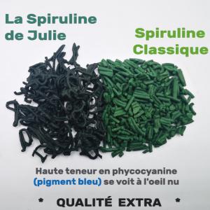 Complément alimentaire SPIRULINE Producteur - autres producteur de spiruline haute qualité (haut taux de phycocyanine 27 à 34% brut) en france.--format brindille légèrement salé et sans odeur. facile à consommer.--reste 400kg en stock. merci