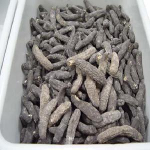  Concombres De Mer Séchés Et Frais Plus En Poudre - lait et produits laitiers bonjour a vous  pour tout vos besoins  de concombres de mer séchés et poudre plus le frais de très bonnes qualités a grande quantité. veuillez bien vouloir faire appelle à notre personnalité . notre siège se trouve aux benin , quelques  soit le 
