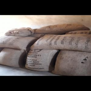  Vente De Noix De Cajou De Très Bonne Qualité - publicité-nouveaux produits vente de noix de cajou de bonne qualité et bon marché au nord de la côte d'ivoire . nous disposons d'une quantité de plus de 50 tonne de noix de cajou sec 